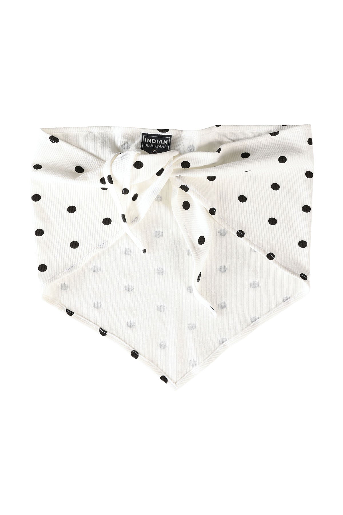 Polkadot Scarf