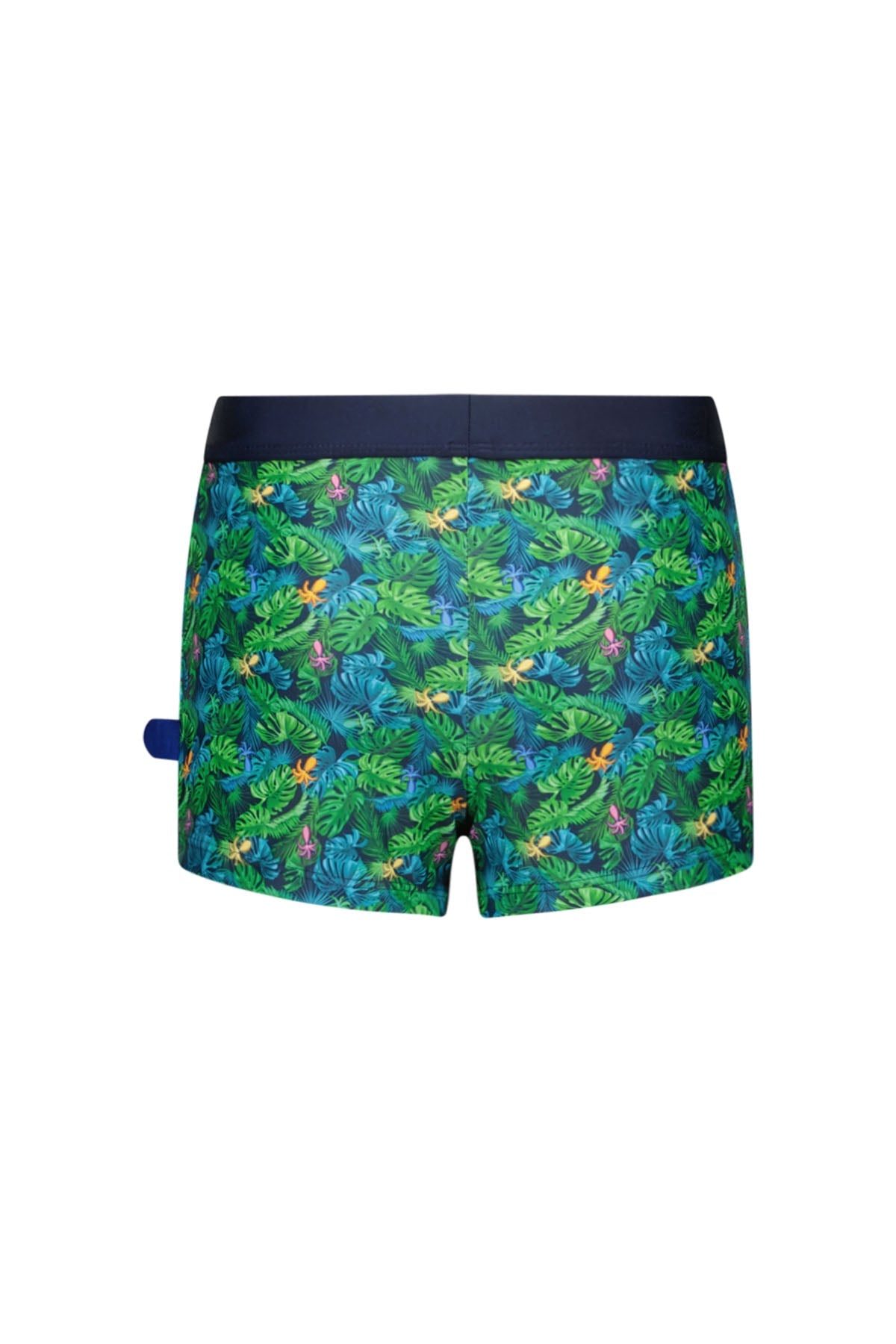 Nevada Swim Shorts Ocean Life