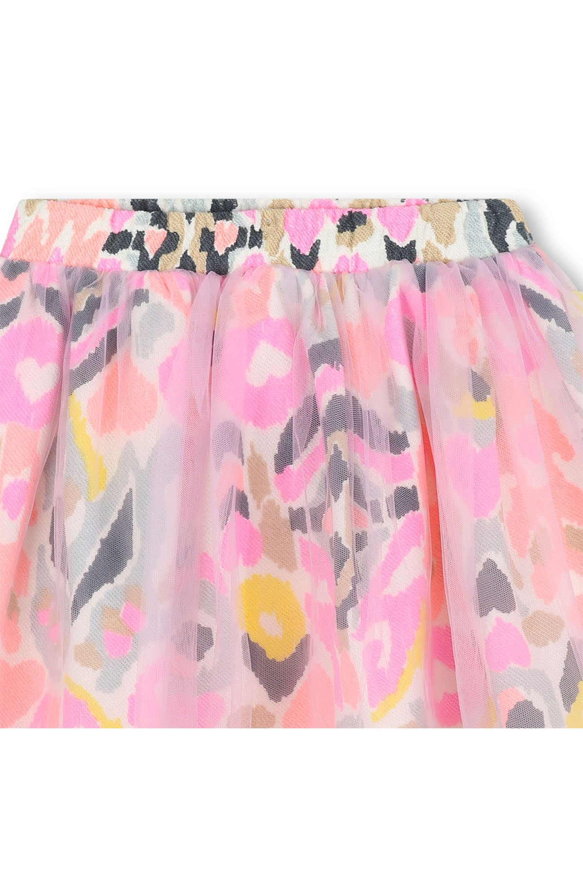 Rok Roze