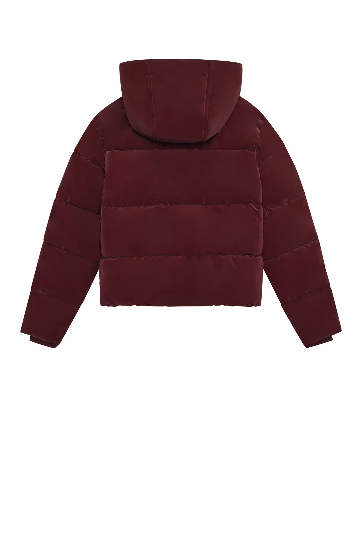 Jacket Hood
