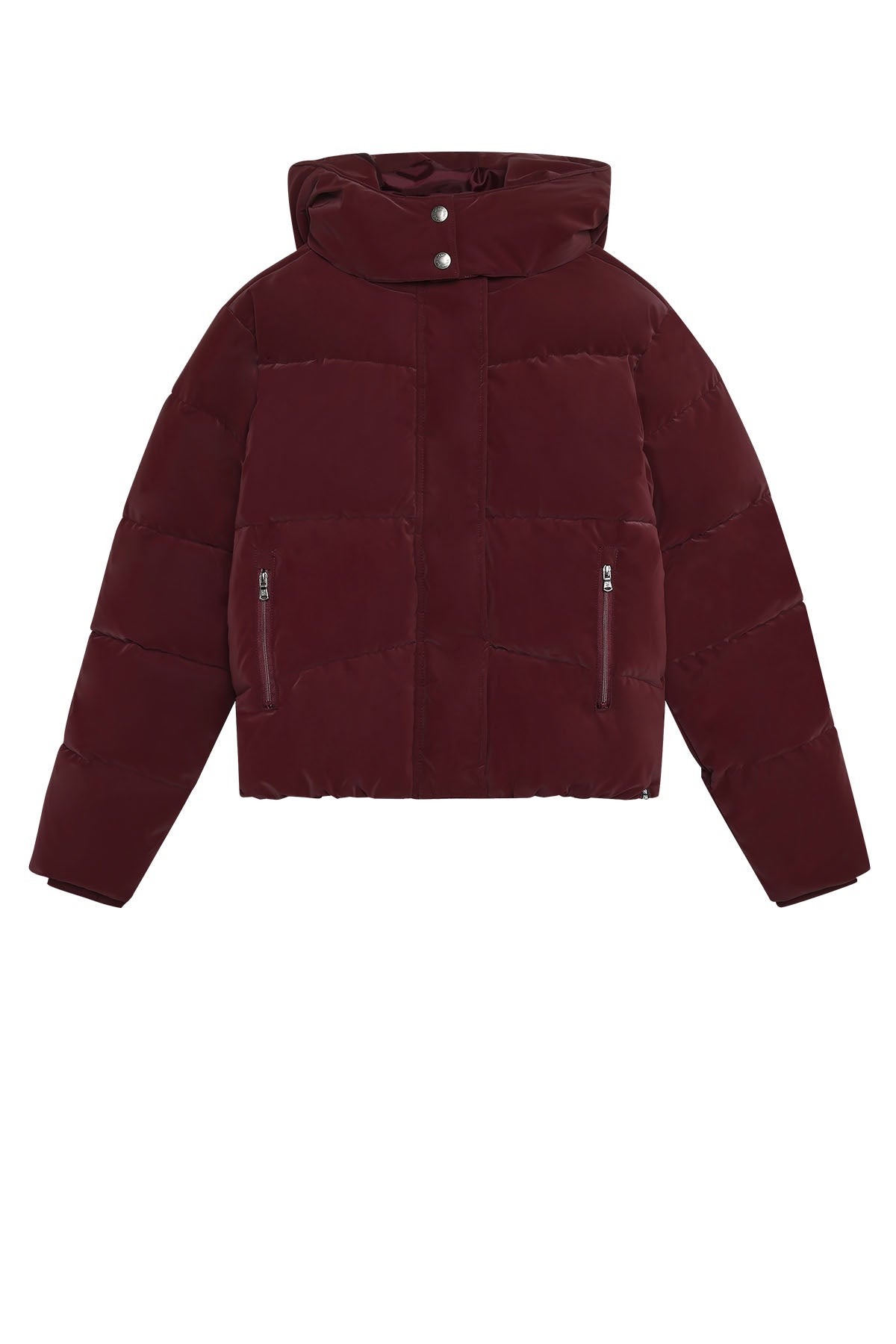 Jacket Hood