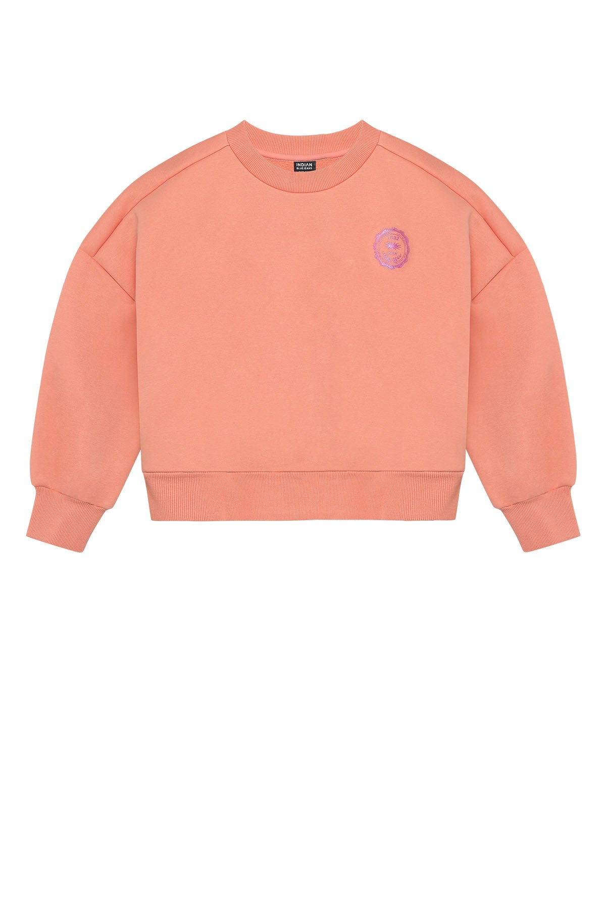 Sweater Cropped Glitter