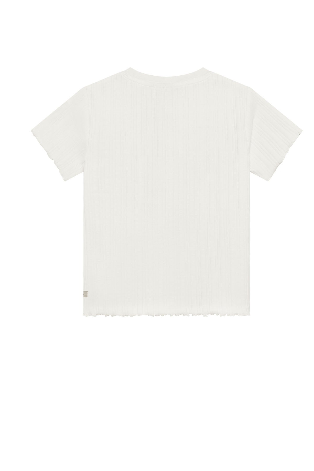 T-shirt Artwork