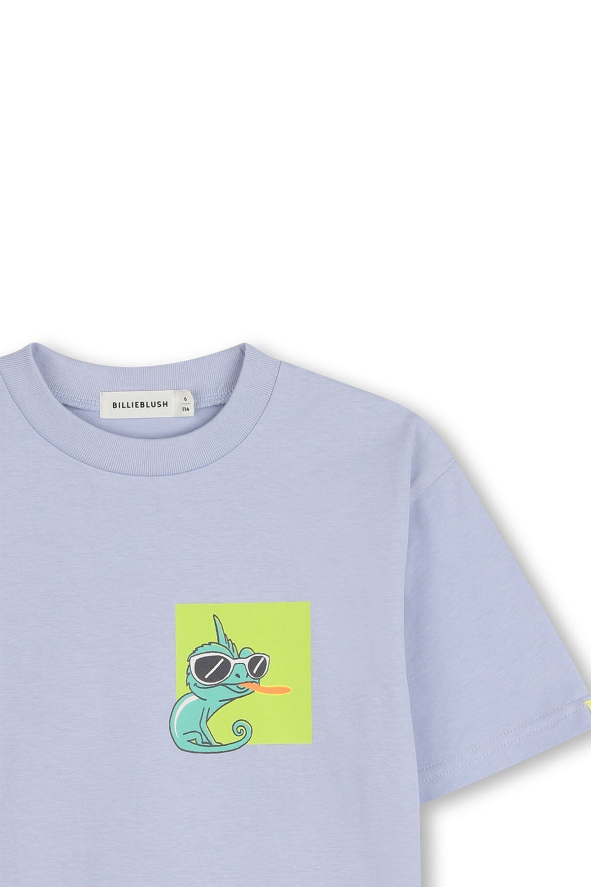 T-Shirt print