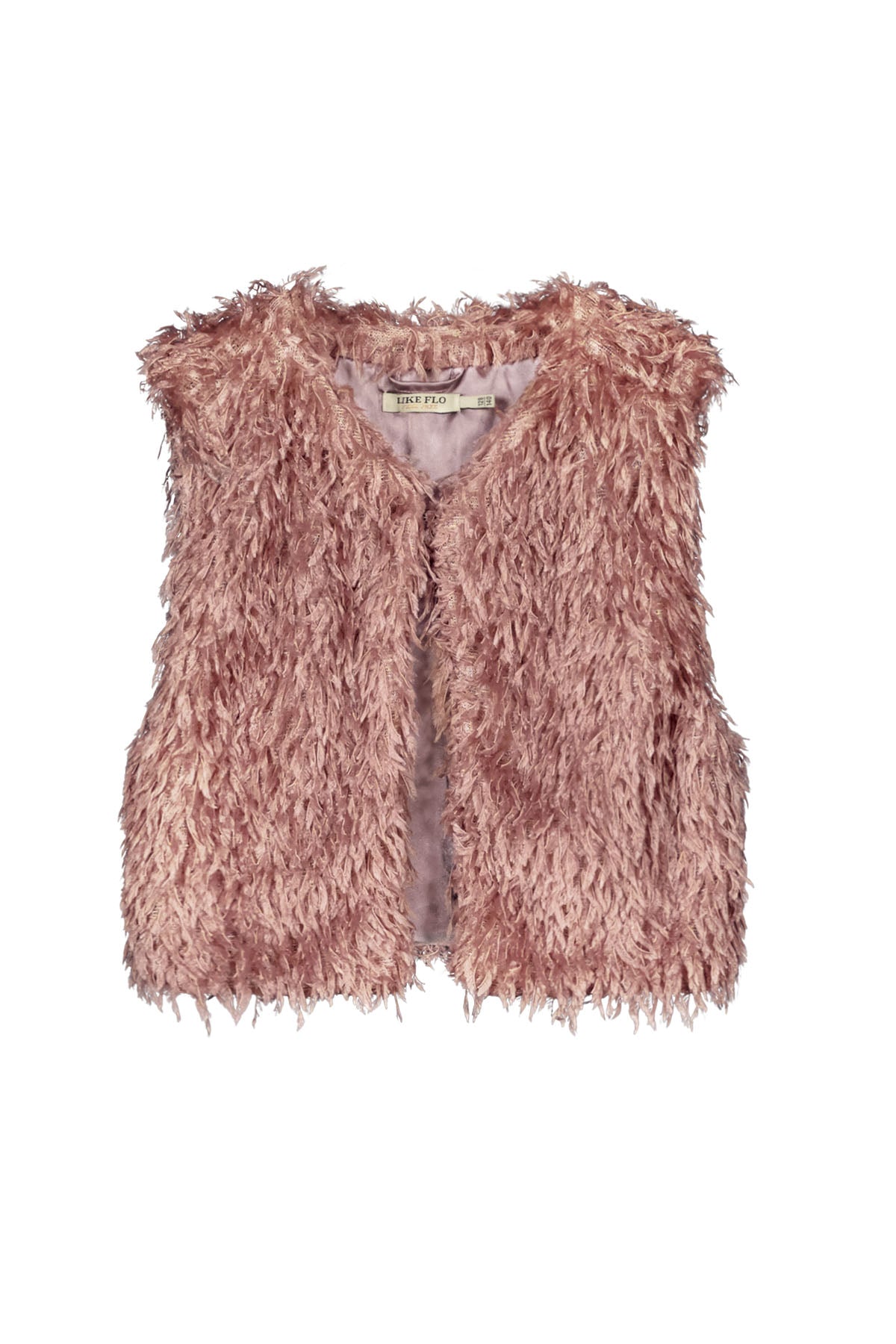 Darcy Vest