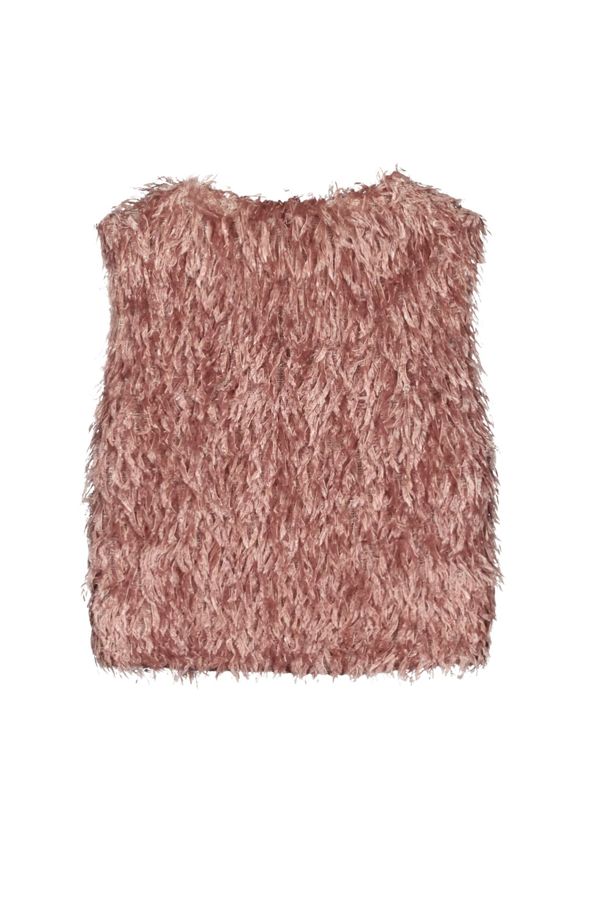 Darcy Vest