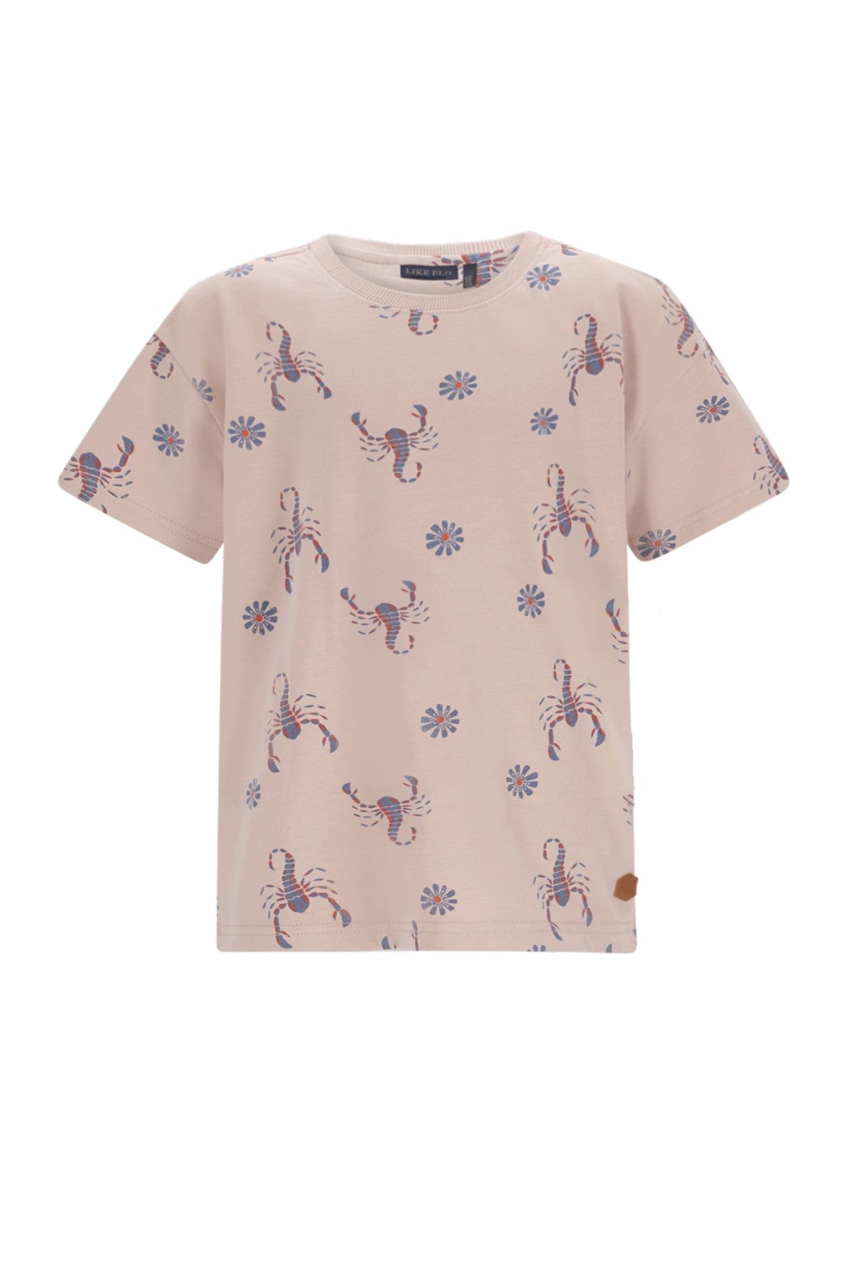 Dane Flo boys heavy jersey AO tee