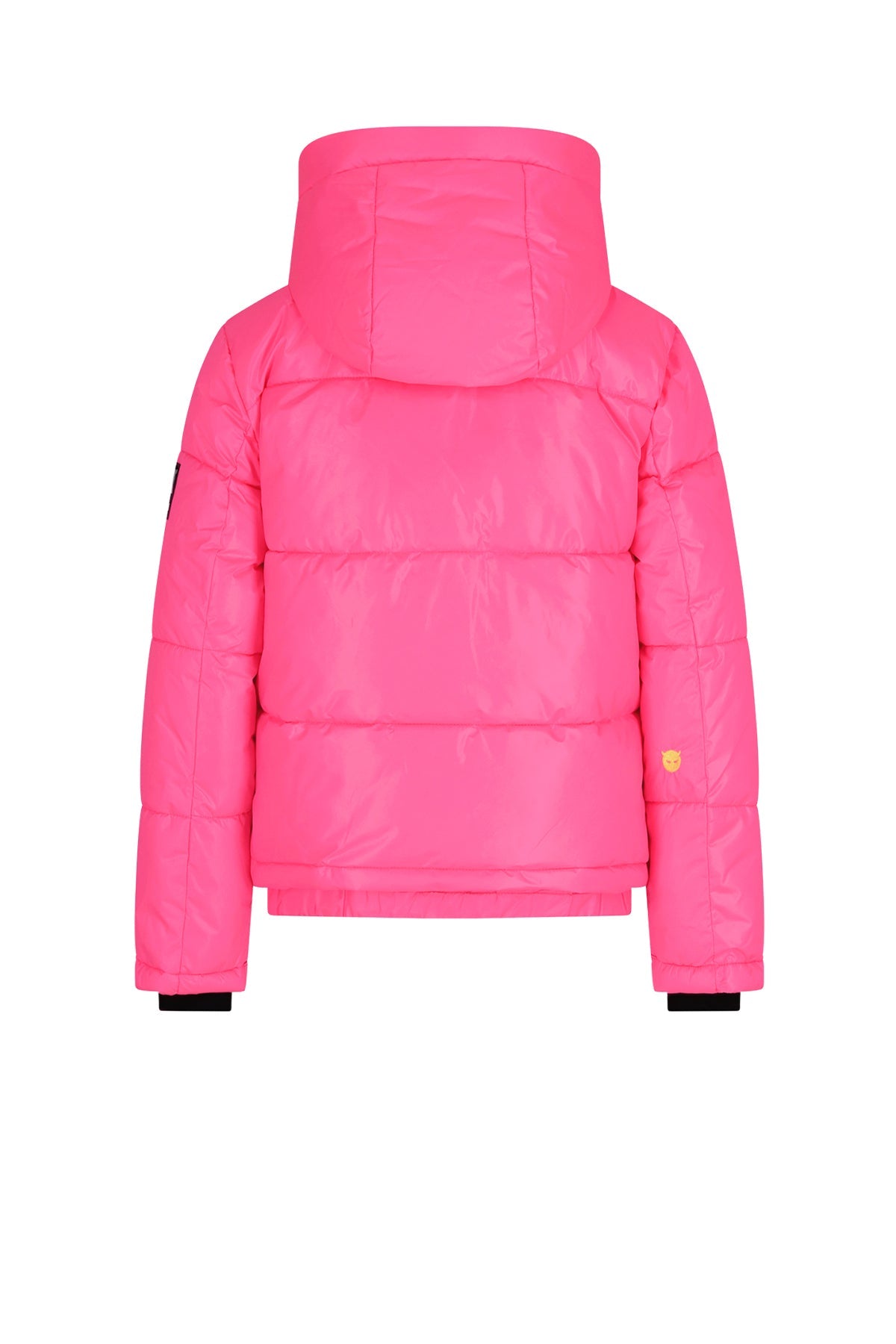 SPICY metallic hooded ski jacket