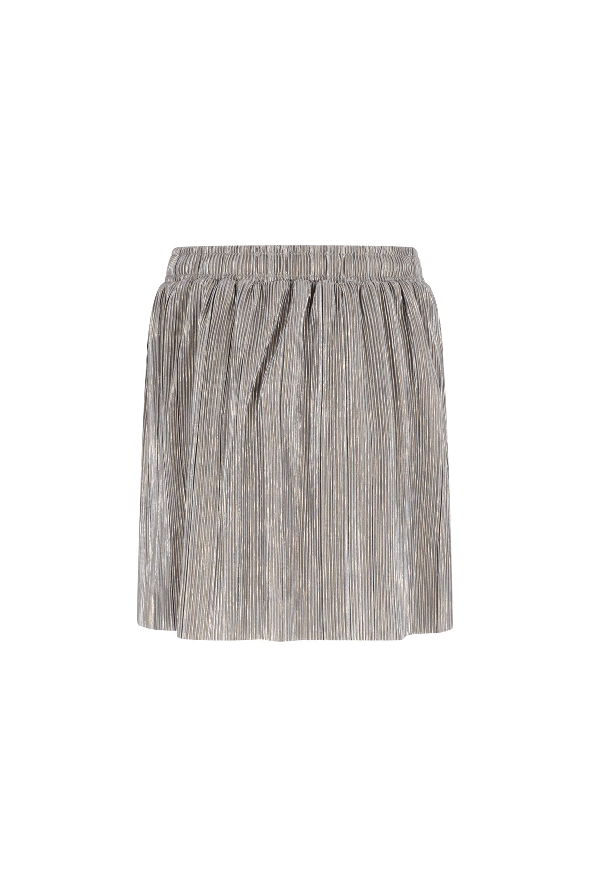 Roza metallic skirt